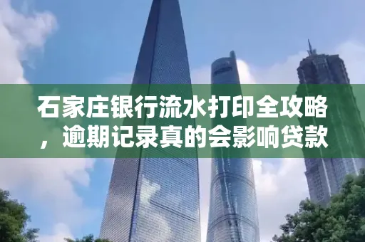 石家庄银行流水打印全攻略,逾期记录真的会影响贷款吗?
