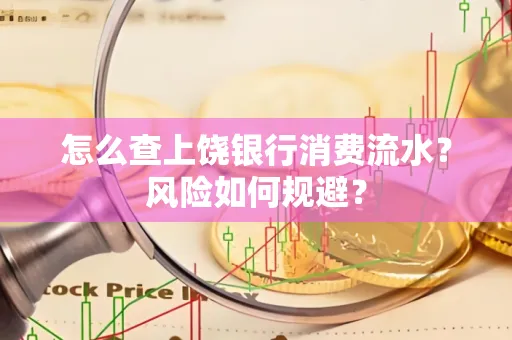 怎么查上饶银行消费流水?风险如何规避?