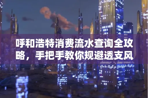 呼和浩特消费流水查询全攻略，手把手教你规避透支风险