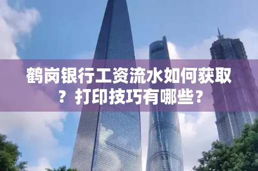 鹤岗银行工资流水如何获取?打印技巧有哪些?