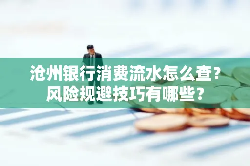 沧州银行消费流水怎么查?风险规避技巧有哪些?