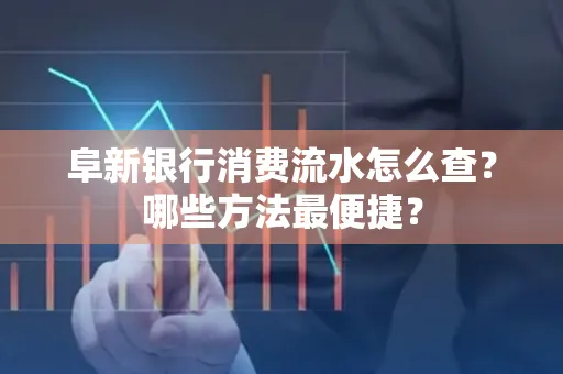 阜新银行消费流水怎么查?哪些方法最便捷?