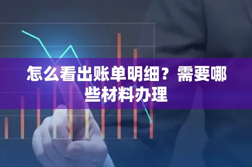 怎么看出账单明细?需要哪些材料办理