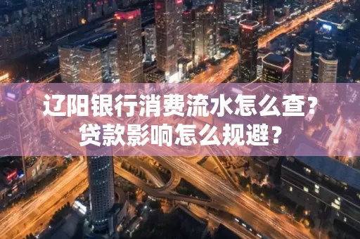 辽阳银行消费流水怎么查？贷款影响怎么规避？
