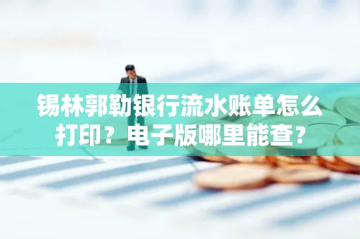 锡林郭勒银行流水账单怎么打印?电子版哪里能查? 锡林郭勒银行流水账单怎么打印?电子版哪里能查?