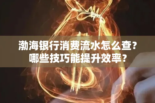 渤海银行消费流水怎么查?哪些技巧能提升效率?