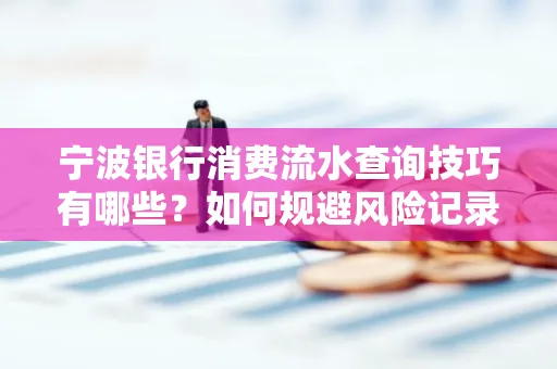宁波银行消费流水查询技巧有哪些?如何规避风险记录?
