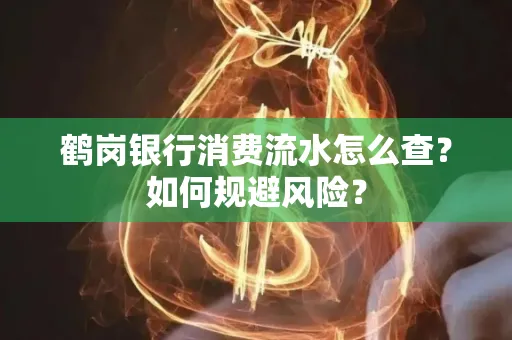 鹤岗银行消费流水怎么查?如何规避风险?