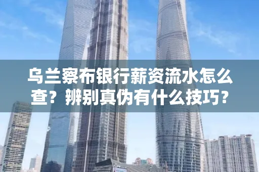乌兰察布银行薪资流水怎么查?辨别真伪有什么技巧?