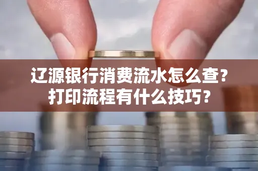 辽源银行消费流水怎么查?打印流程有什么技巧?