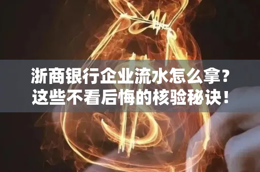 浙商银行企业流水怎么拿?这些不看后悔的核验秘诀!