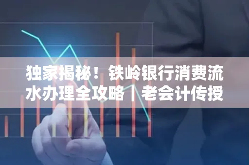 独家揭秘!铁岭银行消费流水办理全攻略|老会计传授防诈技巧