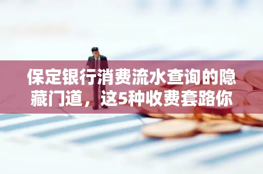 保定银行消费流水查询的隐藏门道,这5种收费套路你知道几个?