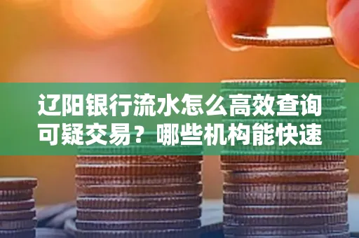 辽阳银行流水怎么高效查询可疑交易?哪些机构能快速分析账单风险?