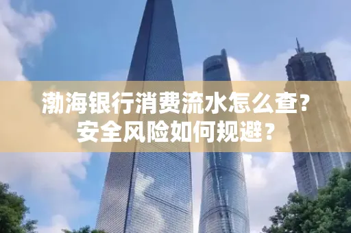 渤海银行消费流水怎么查?安全风险如何规避?