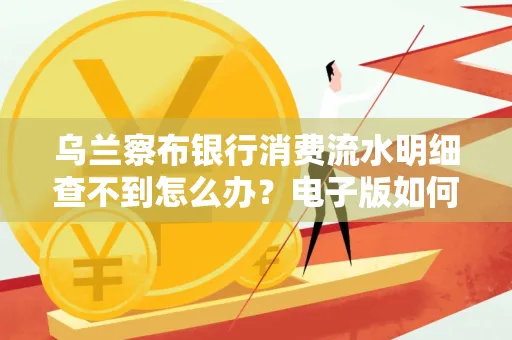 乌兰察布银行消费流水明细查不到怎么办?电子版如何获取攻克技巧?