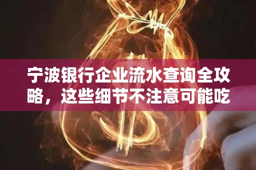 宁波银行企业流水查询全攻略,这些细节不注意可能吃大亏