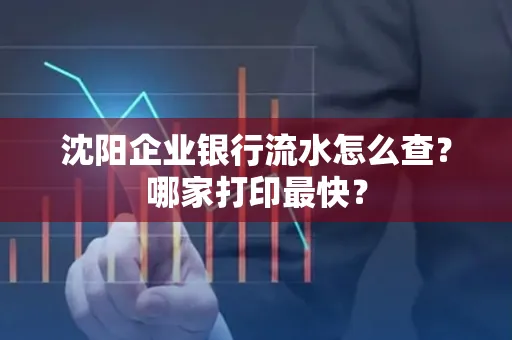 沈阳企业银行流水怎么查?哪家打印最快?