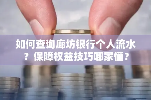 如何查询廊坊银行个人流水?保障权益技巧哪家懂?