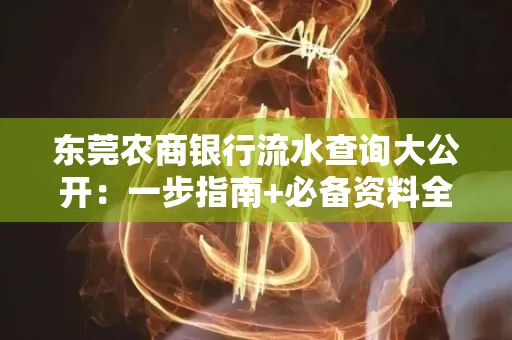 东莞农商银行流水查询大公开:一步指南+必备资料全解读