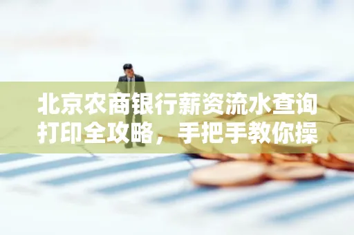 北京农商银行薪资流水查询打印全攻略,手把手教你操作