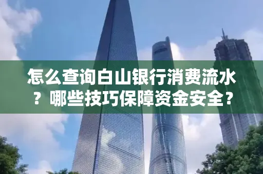 怎么查询白山银行消费流水?哪些技巧保障资金安全?