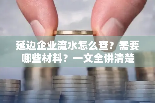 延边企业流水怎么查?需要哪些材料?一文全讲清楚