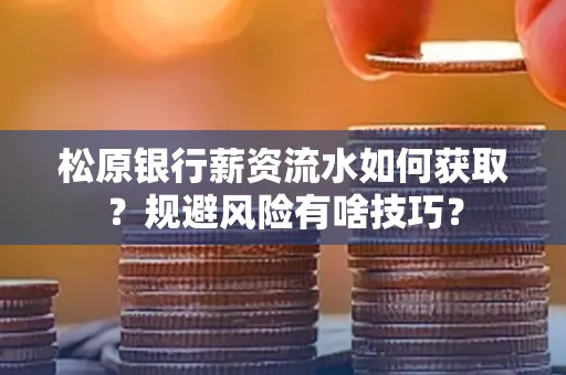松原银行薪资流水如何获取?规避风险有啥技巧?