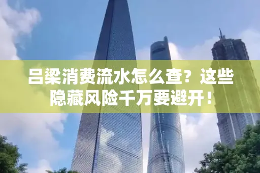 吕梁消费流水怎么查?这些隐藏风险千万要避开!