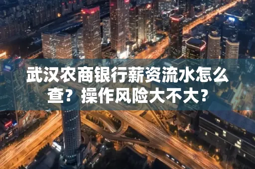 武汉农商银行薪资流水怎么查?操作风险大不大?