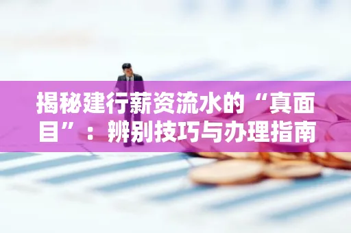 揭秘建行薪资流水的“真面目”:辨别技巧与办理指南大公开