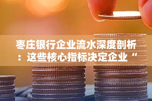 枣庄银行企业流水深度剖析:这些核心指标决定企业“钱袋子”健康度