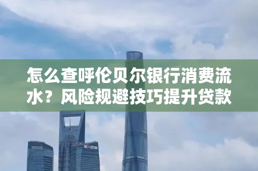 怎么查呼伦贝尔银行消费流水?风险规避技巧提升贷款率?